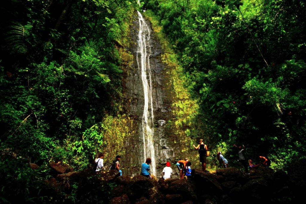 Oʻahu Travel Guide Mānoa Falls surrounded by tropical rainforest on Oʻahu, Hawaiʻi
