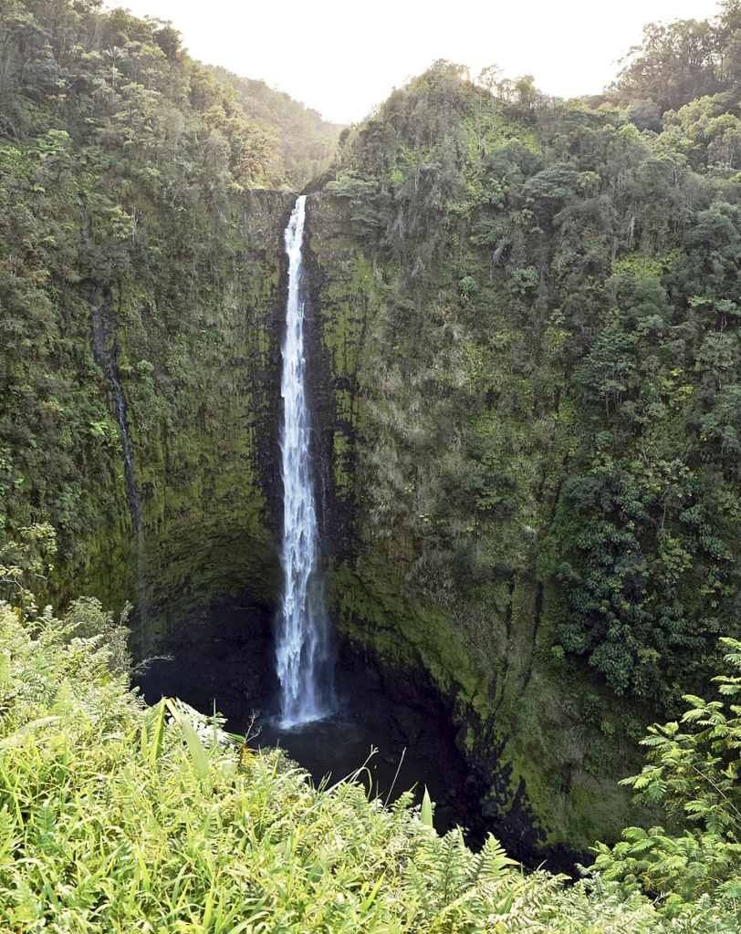 ʻAkaka Falls surrounded by rainforest on the Big Island of Hawaiʻi