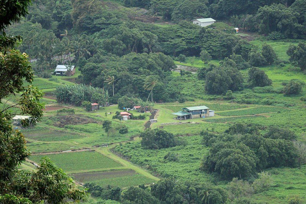 Waipiʻo Valley and coastline viewed from the lookout on the Big Island of Hawaiʻi