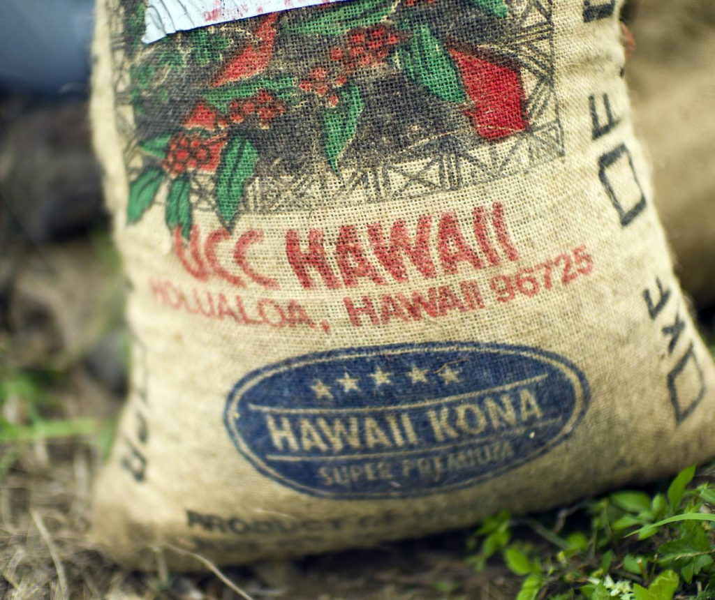 Kona coffee growing on a farm on the Big Island of Hawaiʻi