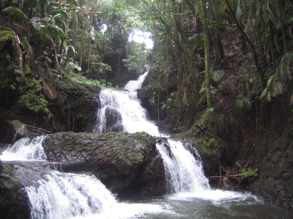 Onomea Falls at Hawaiʻi Tropical Botanical Garden on the Big Island