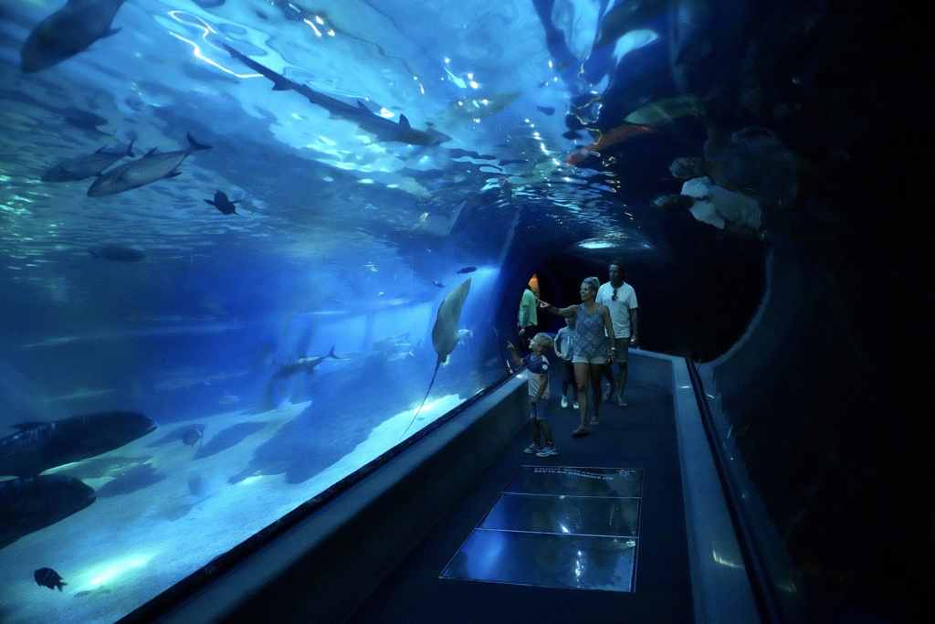 Underwater viewing tunnel at Maui Ocean Center in Māʻalaea