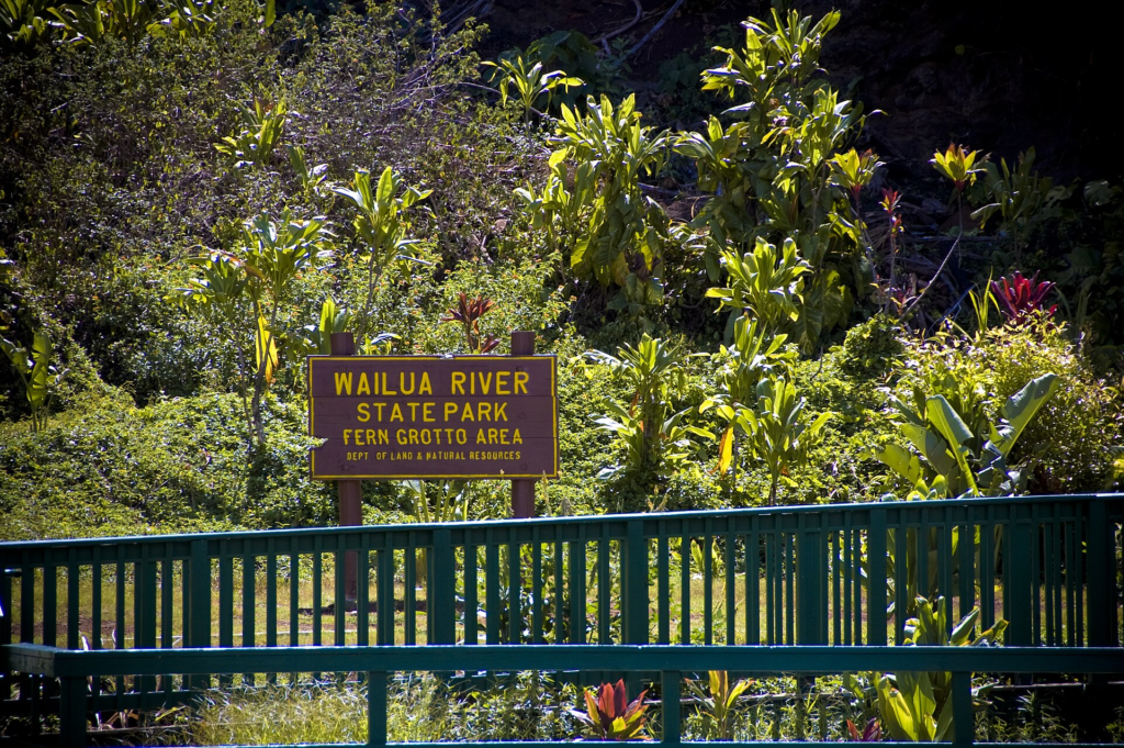 Kauaʻi Travel Guide Fern Grotto at Wailua River State Park on Kauaʻi